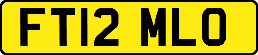 FT12MLO