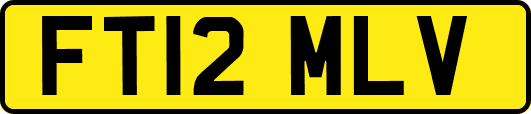 FT12MLV