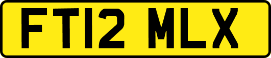FT12MLX