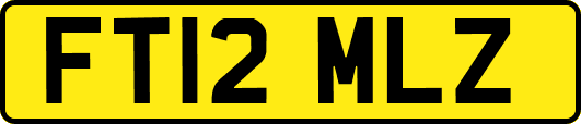 FT12MLZ