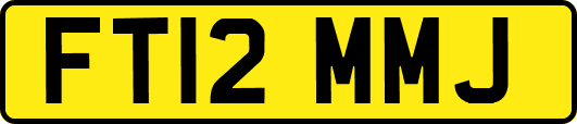 FT12MMJ