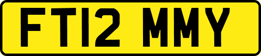 FT12MMY