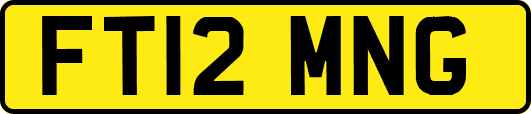 FT12MNG