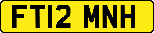 FT12MNH