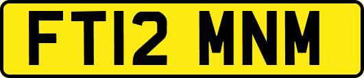 FT12MNM