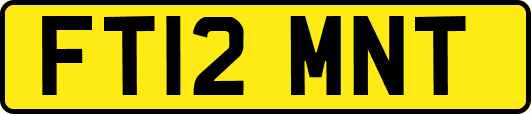 FT12MNT
