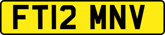 FT12MNV