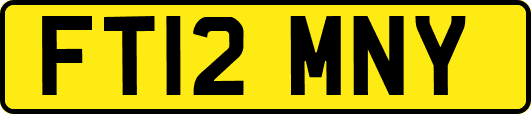 FT12MNY
