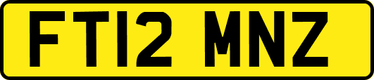 FT12MNZ
