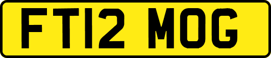 FT12MOG