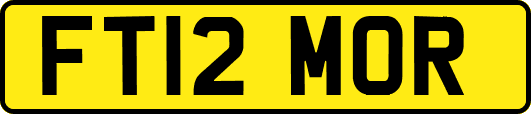 FT12MOR