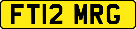 FT12MRG