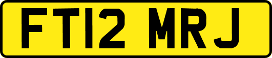 FT12MRJ
