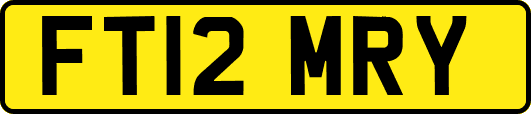 FT12MRY