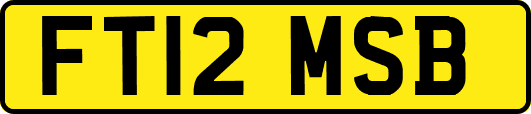 FT12MSB