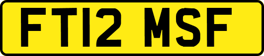 FT12MSF