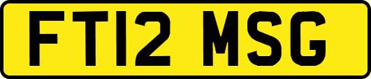FT12MSG