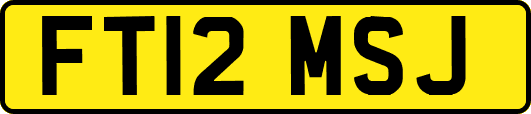 FT12MSJ