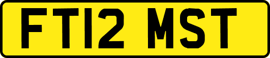 FT12MST