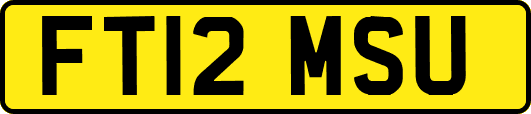 FT12MSU