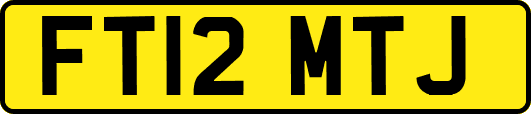 FT12MTJ
