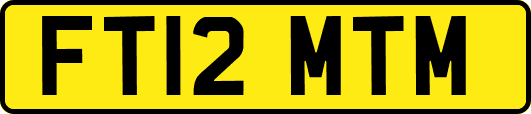 FT12MTM