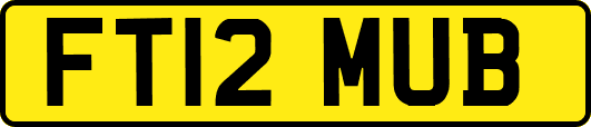 FT12MUB
