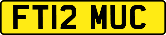 FT12MUC