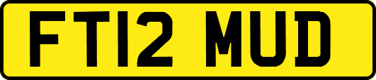 FT12MUD
