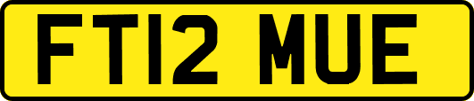 FT12MUE
