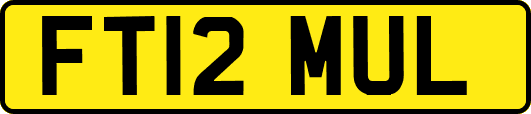 FT12MUL