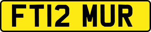 FT12MUR