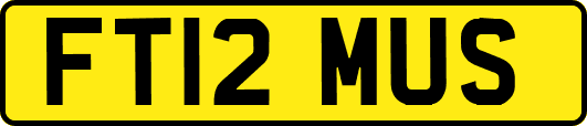 FT12MUS