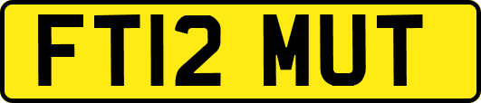 FT12MUT