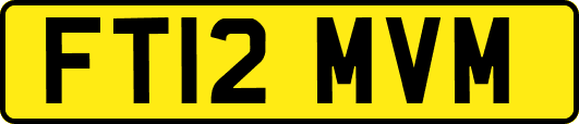 FT12MVM