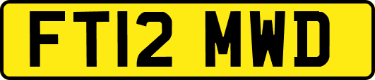 FT12MWD