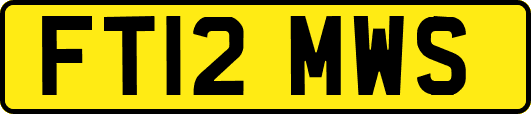 FT12MWS