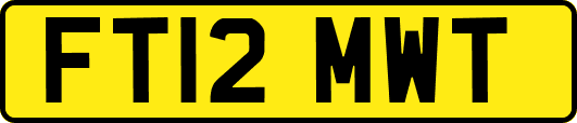 FT12MWT