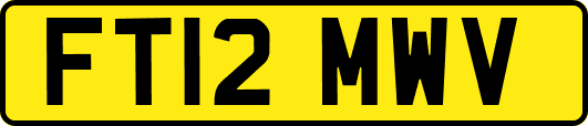 FT12MWV