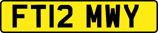 FT12MWY