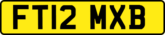 FT12MXB