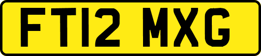 FT12MXG