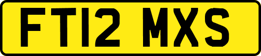 FT12MXS