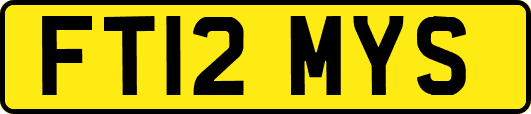FT12MYS