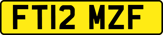FT12MZF