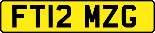 FT12MZG