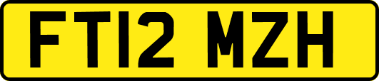 FT12MZH