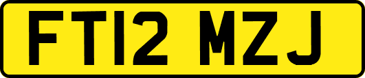FT12MZJ