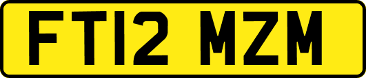 FT12MZM