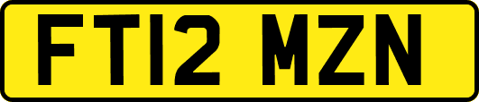 FT12MZN